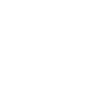 dynamic-prospect-nurturing-icon