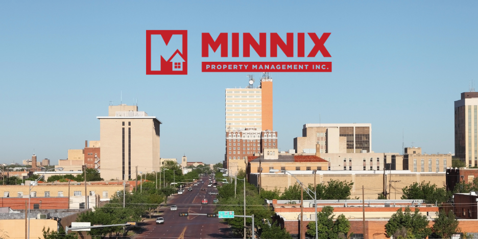 minnix-2