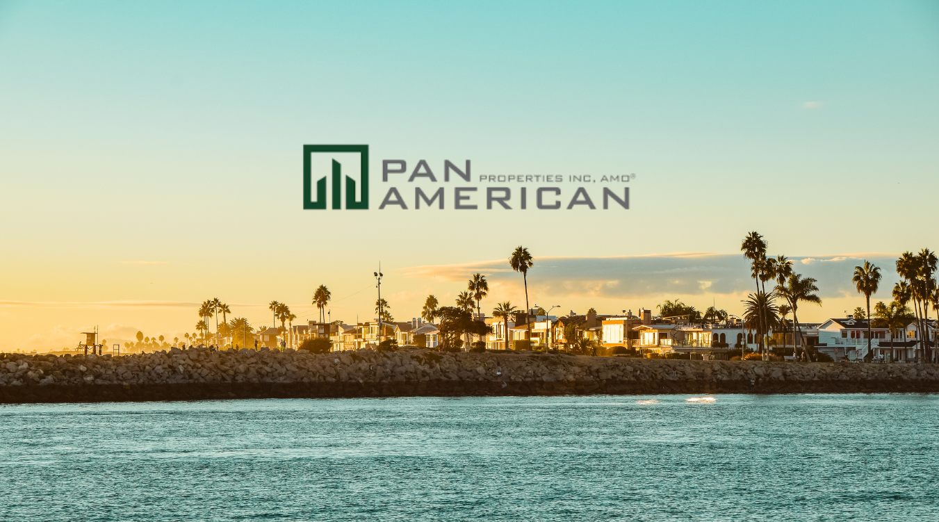 pan-american-case-study